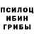 Псилоцибиновые грибы прущие грибы Rigrey