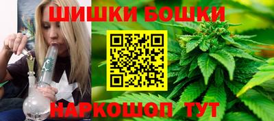 гидра Заводоуковск