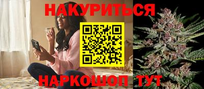 гидра Заводоуковск
