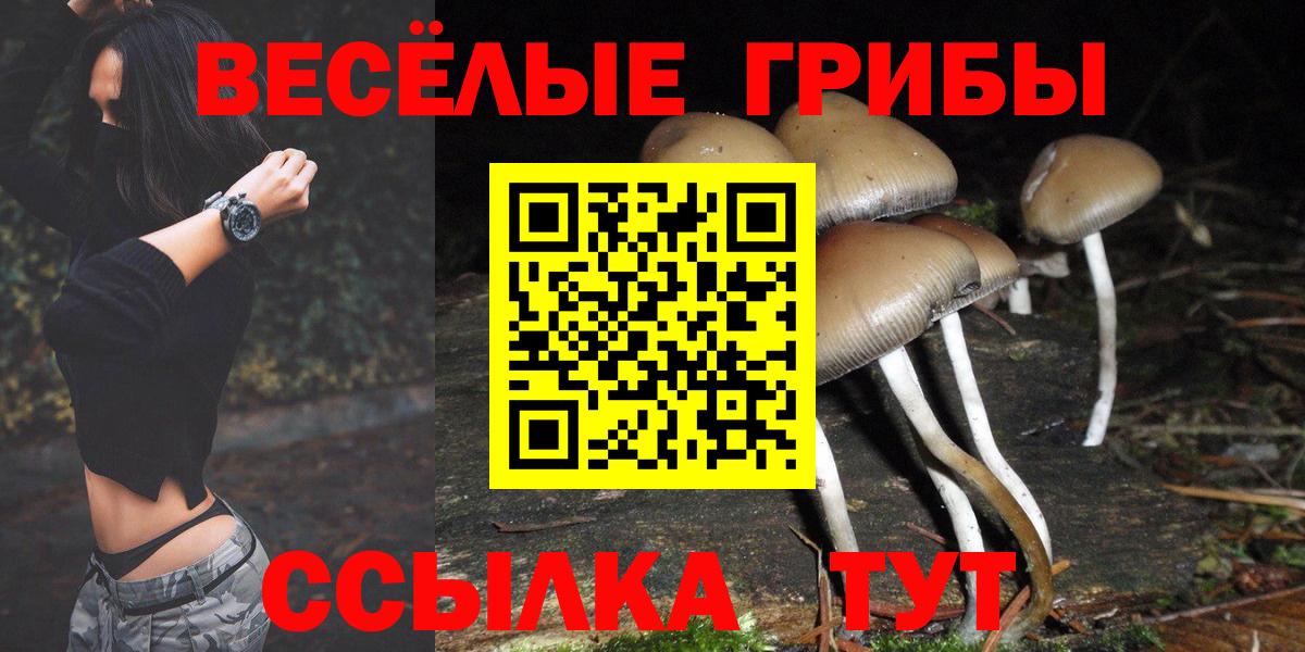 Павловский Посад  Псилоцибиновые грибы мухоморы  где продают   Галлюциногенные грибы прущие грибы  Вход с VPN 