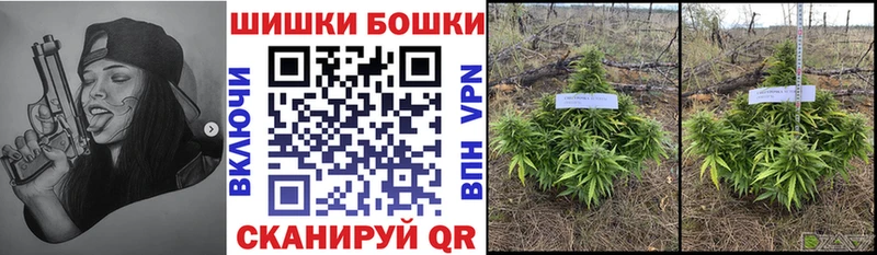 МАРИХУАНА Amnesia  darknet состав  Павловский Посад  купить  цена 